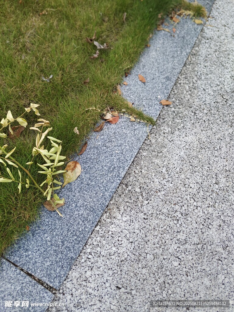 路边草地与石板路景象