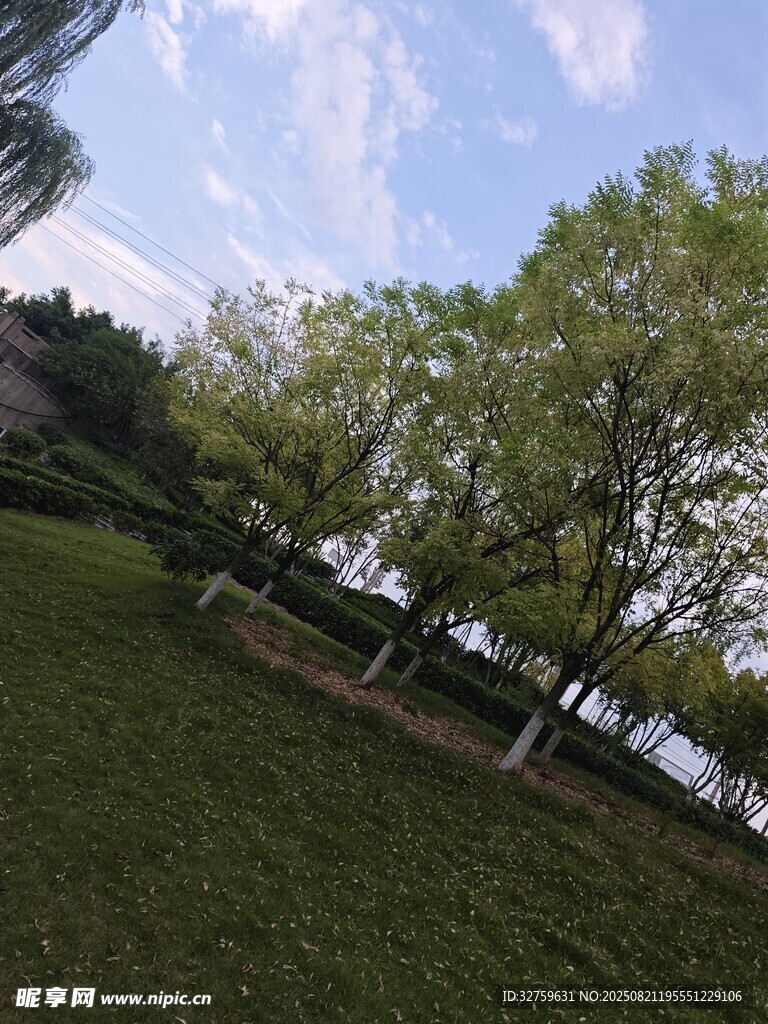 户外绿树草地风景图