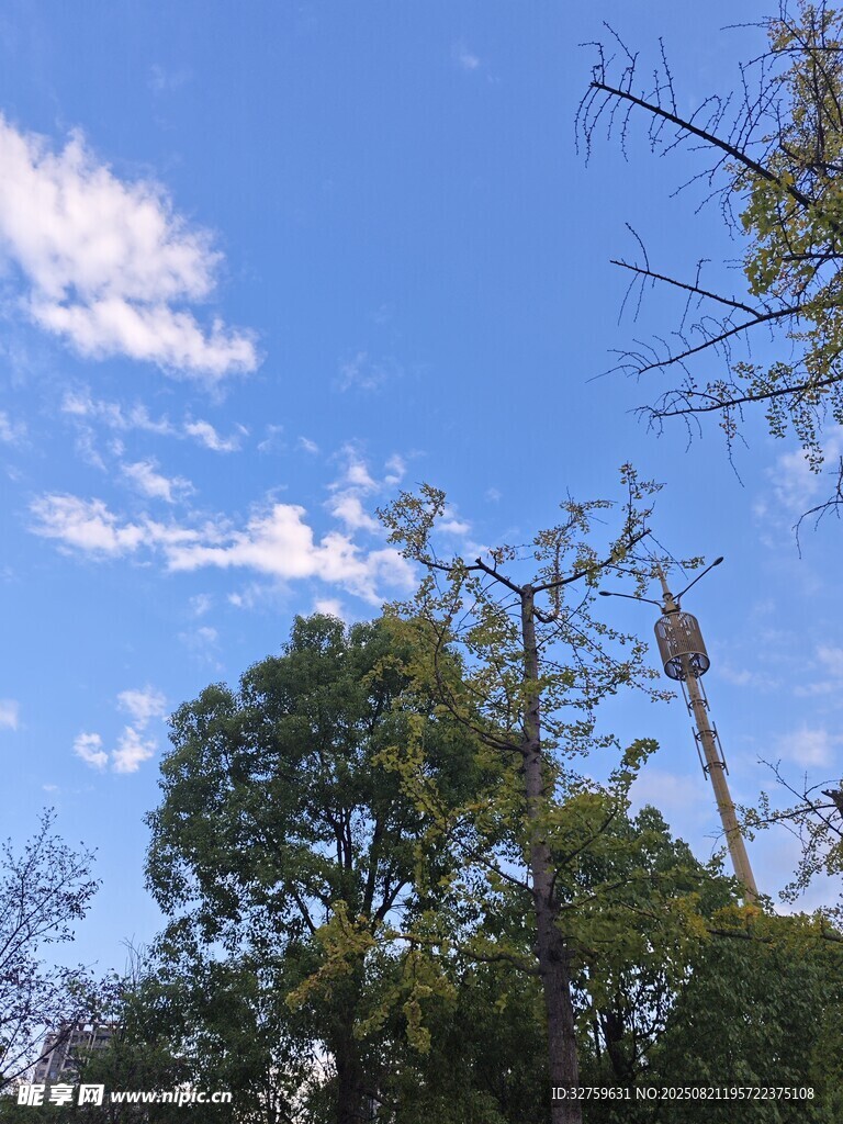 蓝天绿树间的自然景致