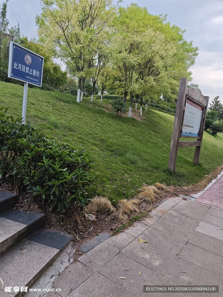 路边绿意盎然的指示牌景观