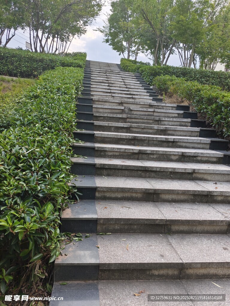石砌台阶旁绿植环绕景观