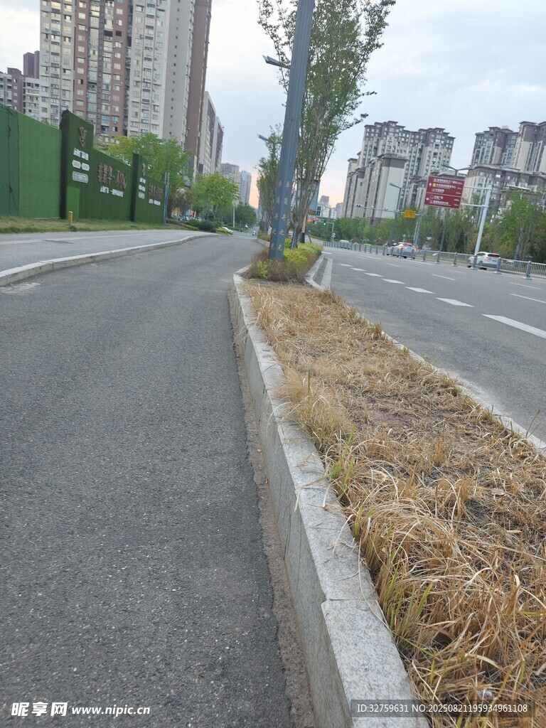 城市道路旁的干草绿化带