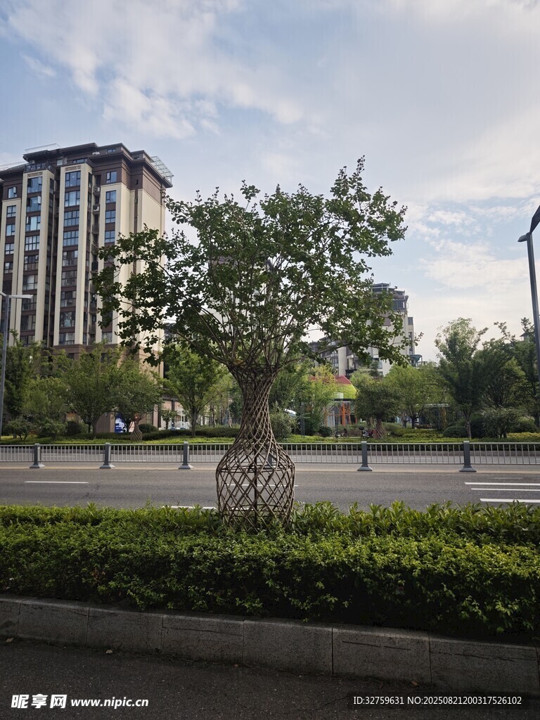 城市街道旁的绿植与建筑