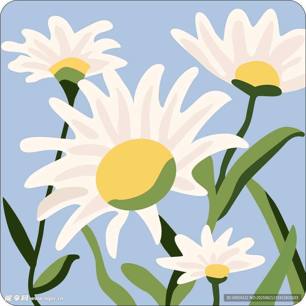 清新雏菊插画