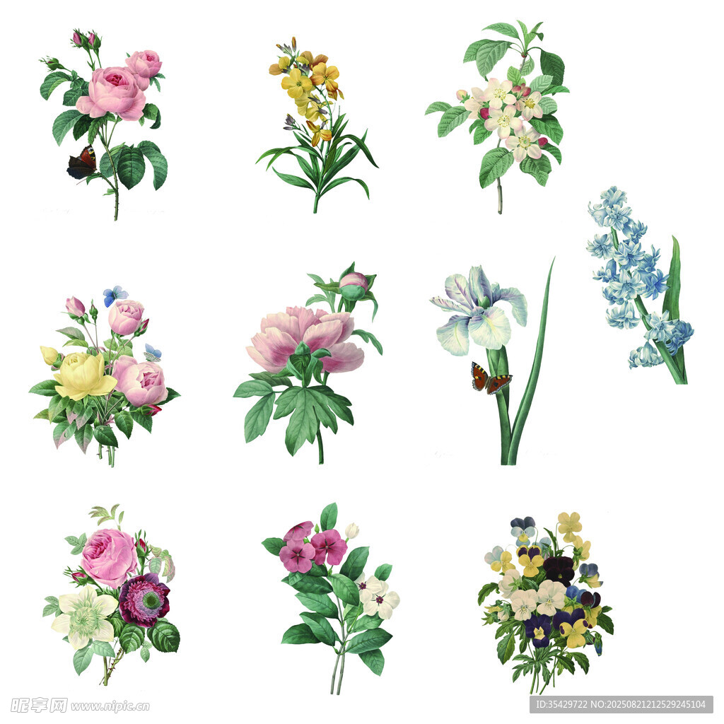 手绘多彩花卉插画素材