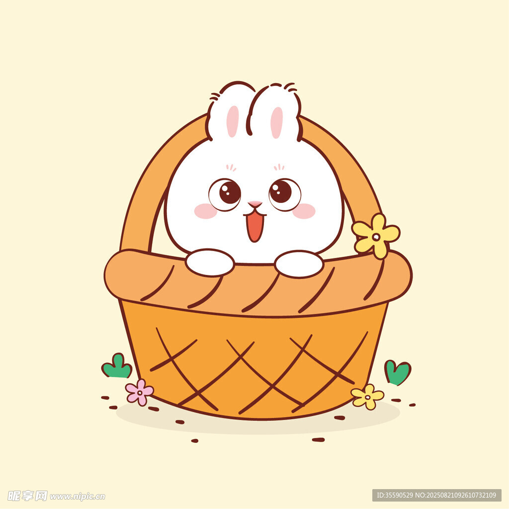 篮子里的可爱小白兔