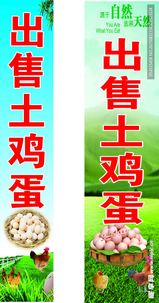 出售土鸡蛋