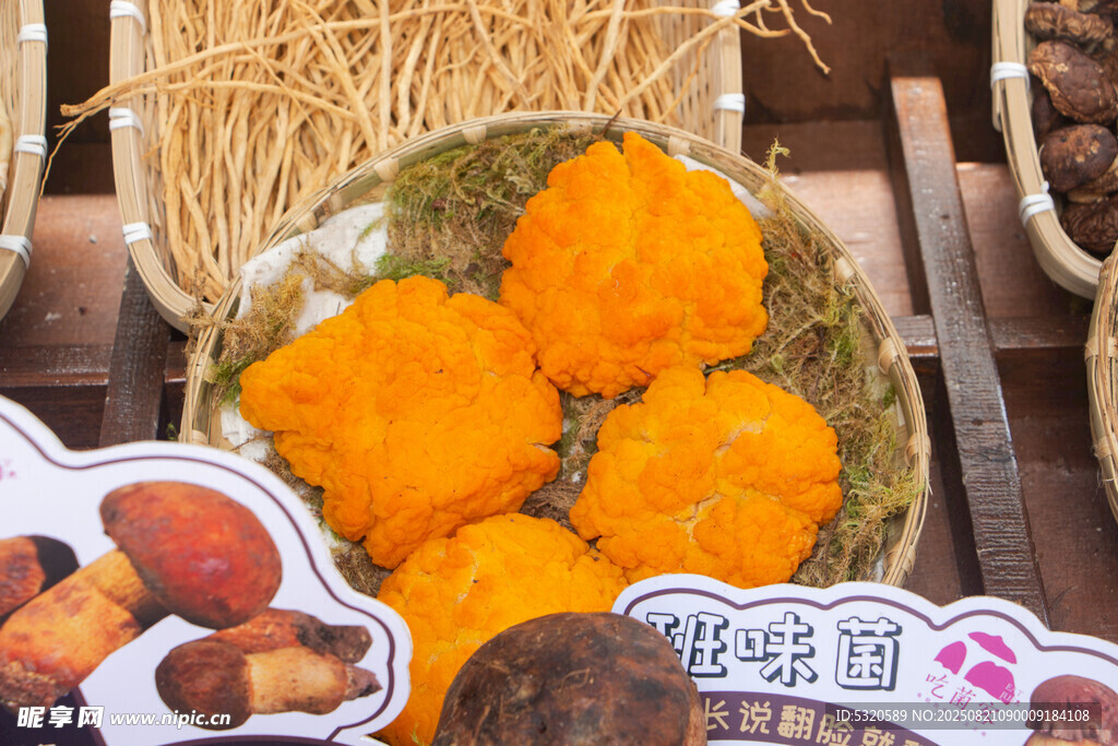 多彩南瓜与蘑菇装饰摆件