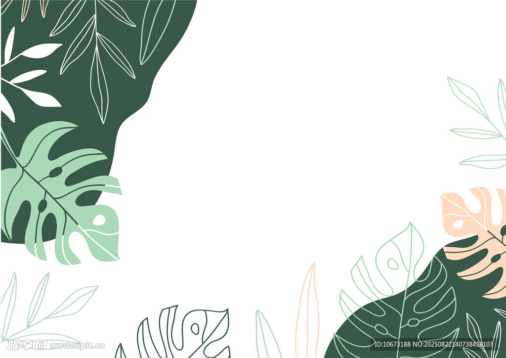热带植物插画背景图