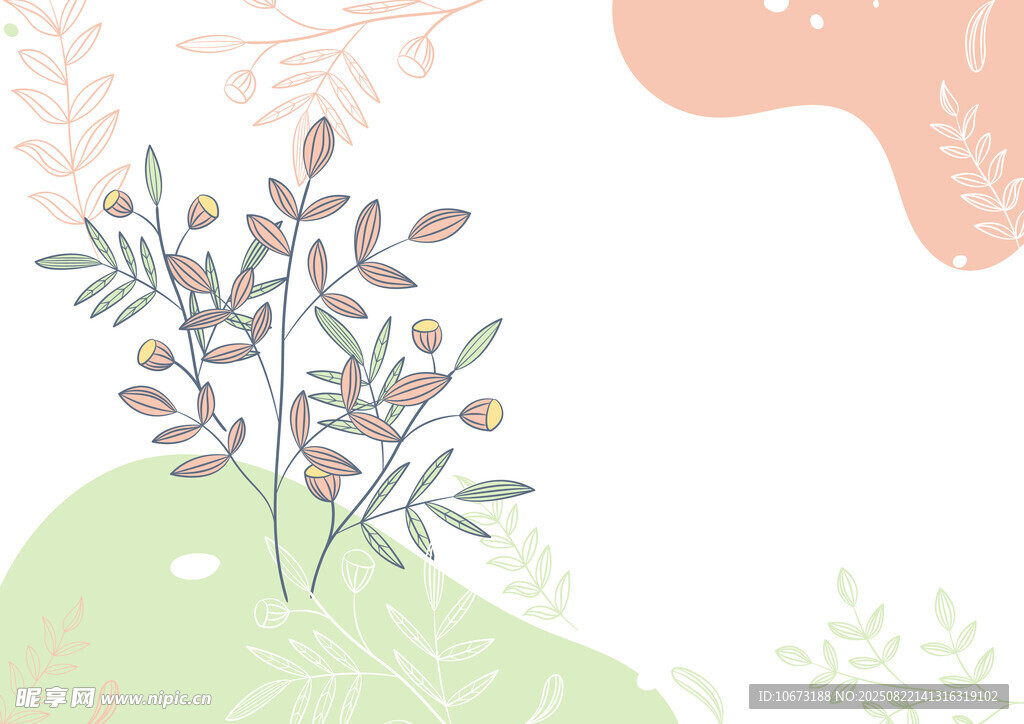 清新植物插画