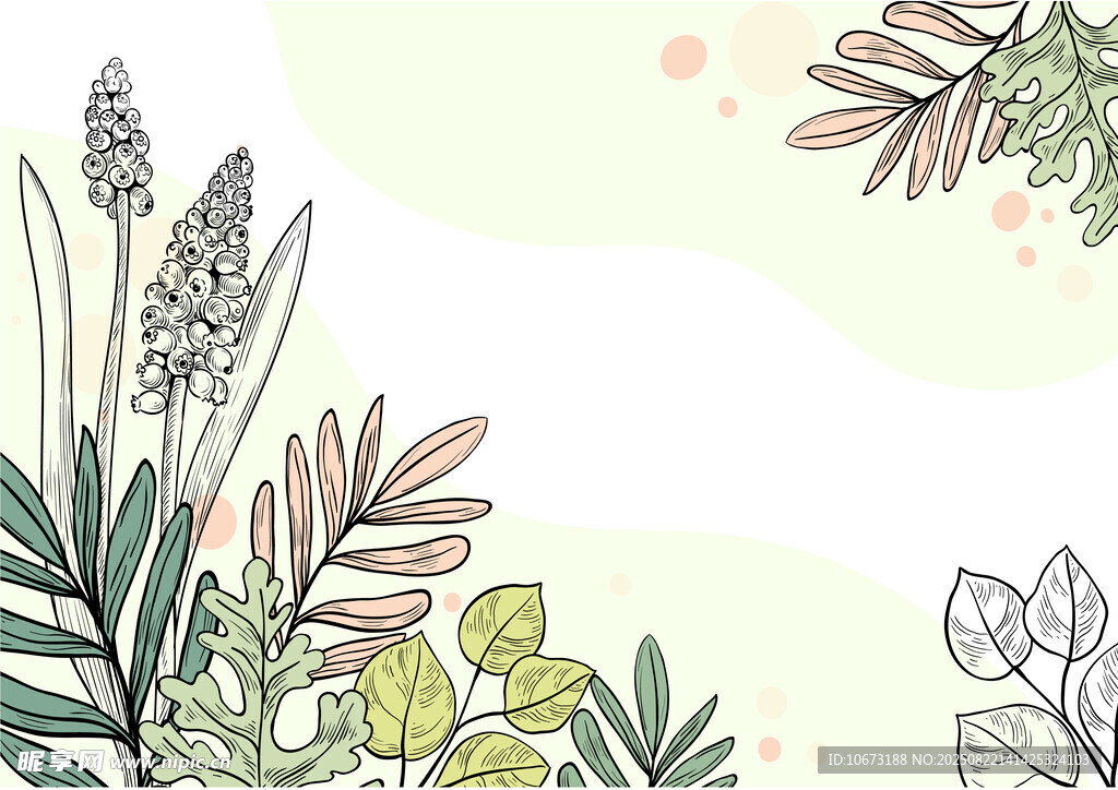 清新植物插画