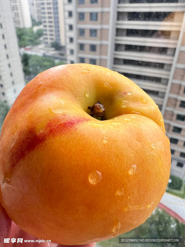 手持色泽诱人的新鲜桃子