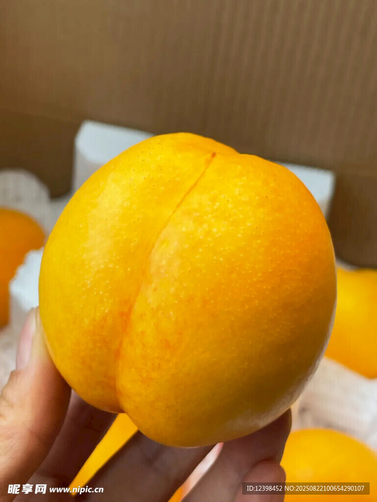 手捧金黄诱人新鲜大桃子