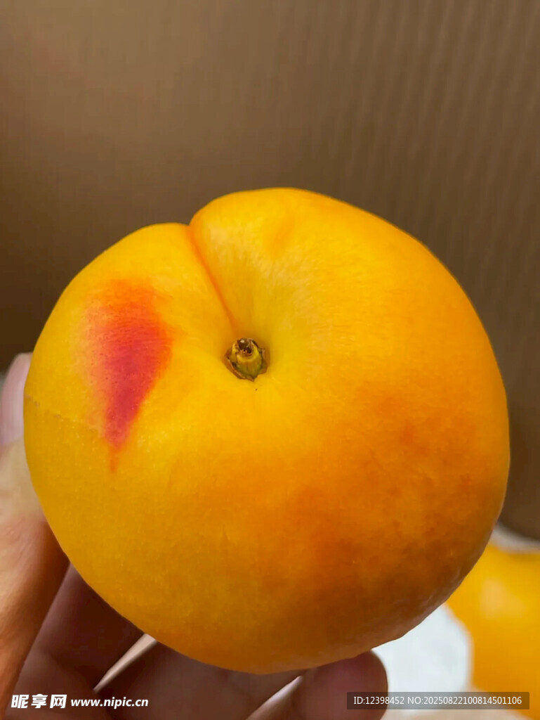 手捧鲜黄带红诱人水蜜桃