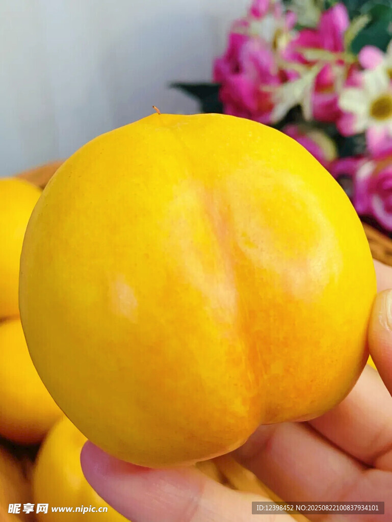 手捧金黄鲜桃