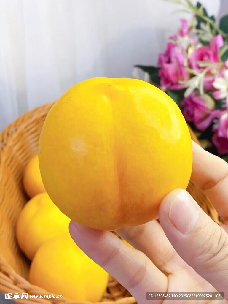 手捧鲜黄诱人的美味桃子