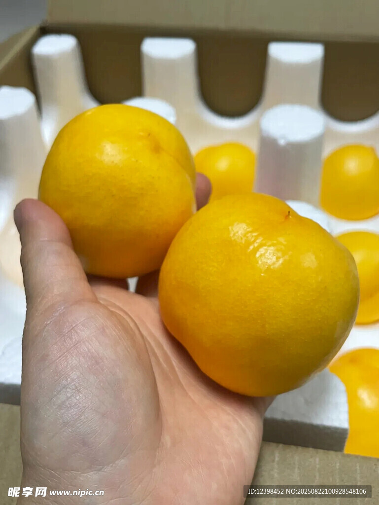 黄桃