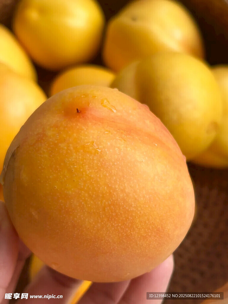 手捧鲜嫩黄桃