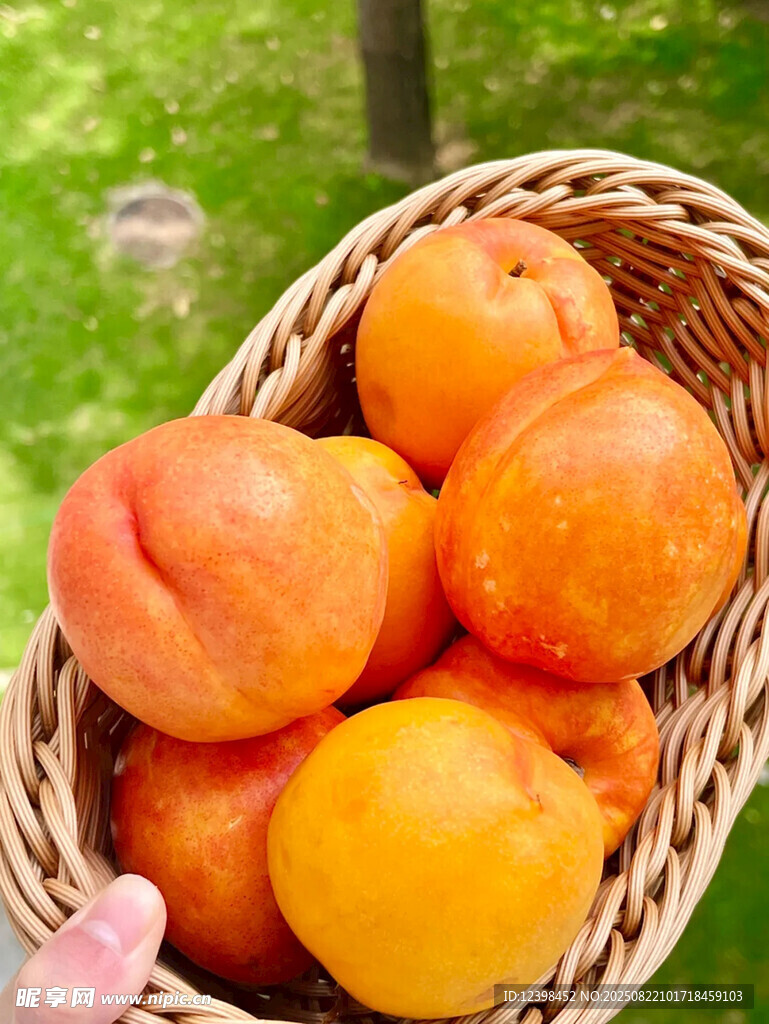 黄桃