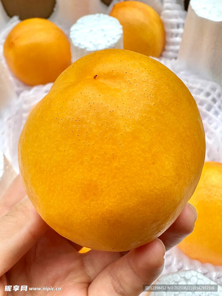 黄桃