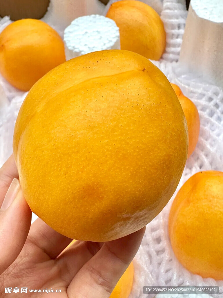手捧金黄诱人新鲜黄桃