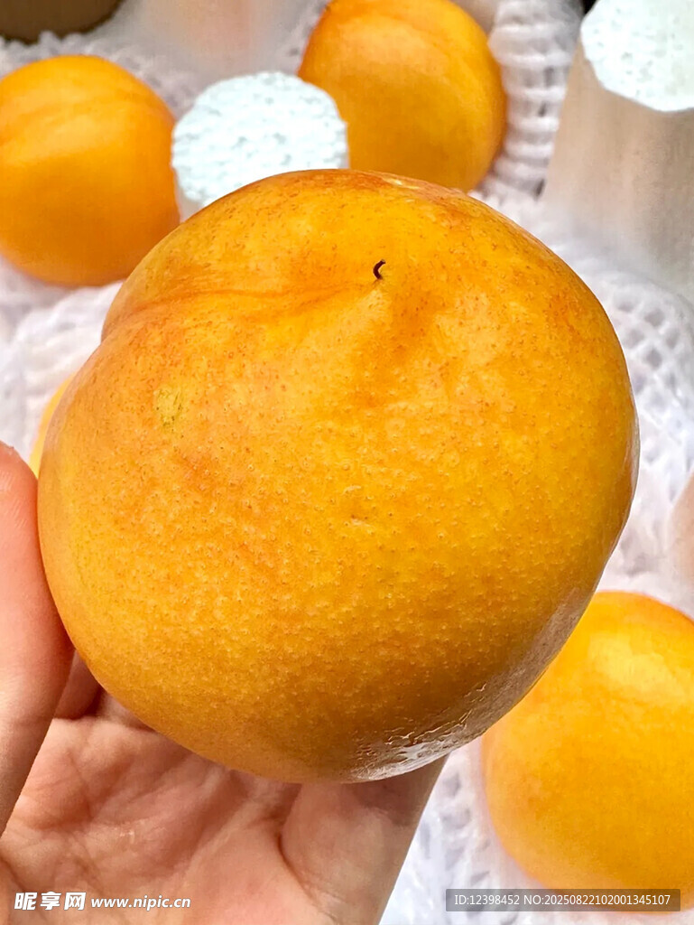 黄桃
