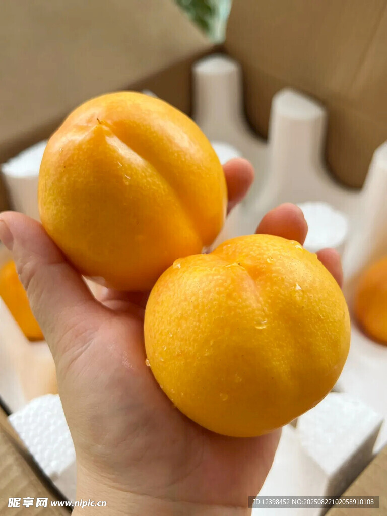 手捧鲜黄诱人水蜜桃