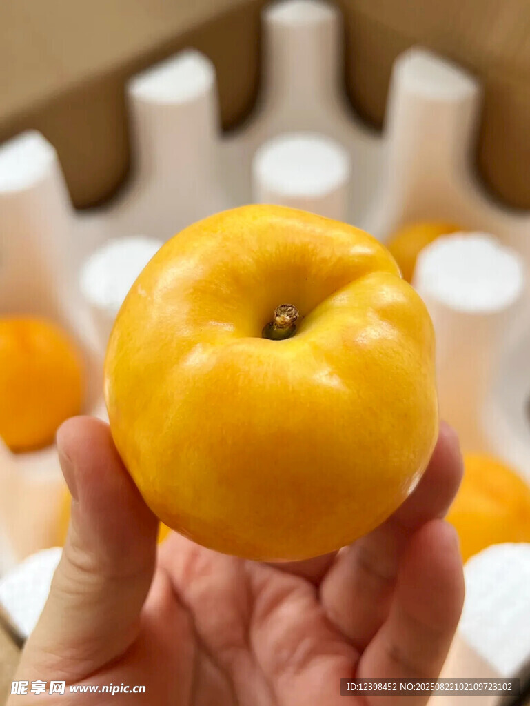 黄桃