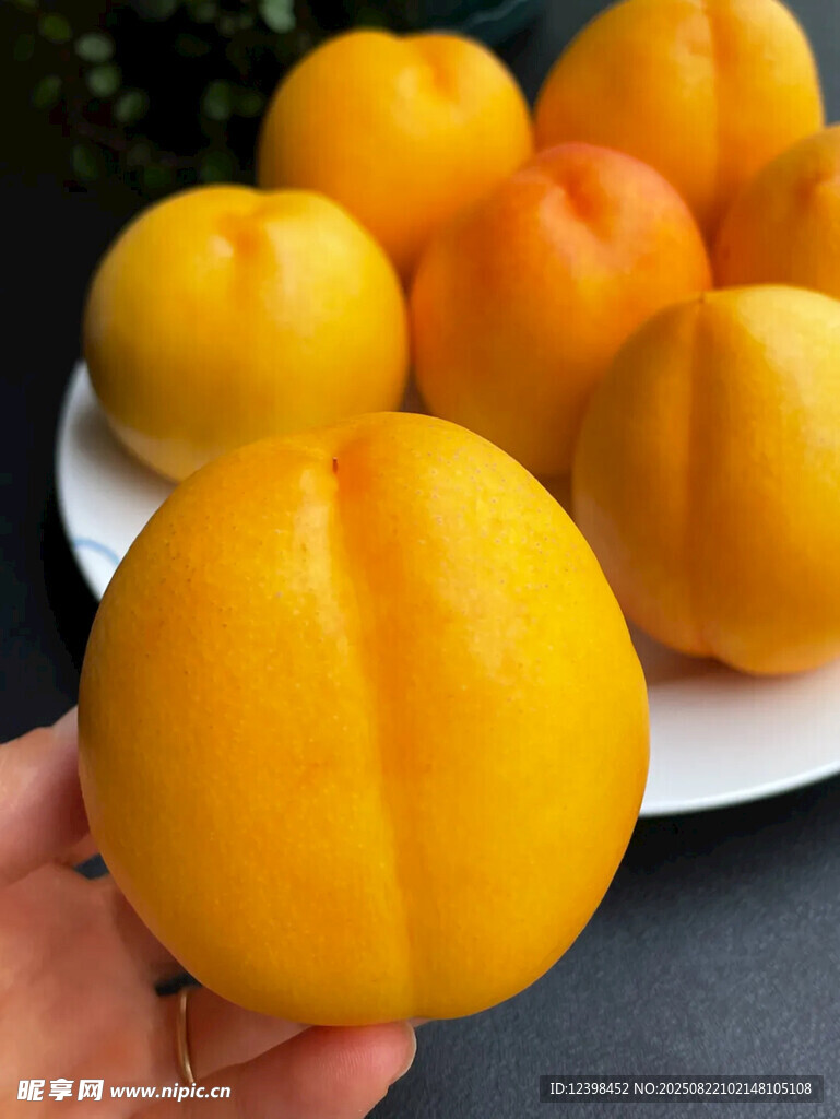 金黄饱满的新鲜黄桃