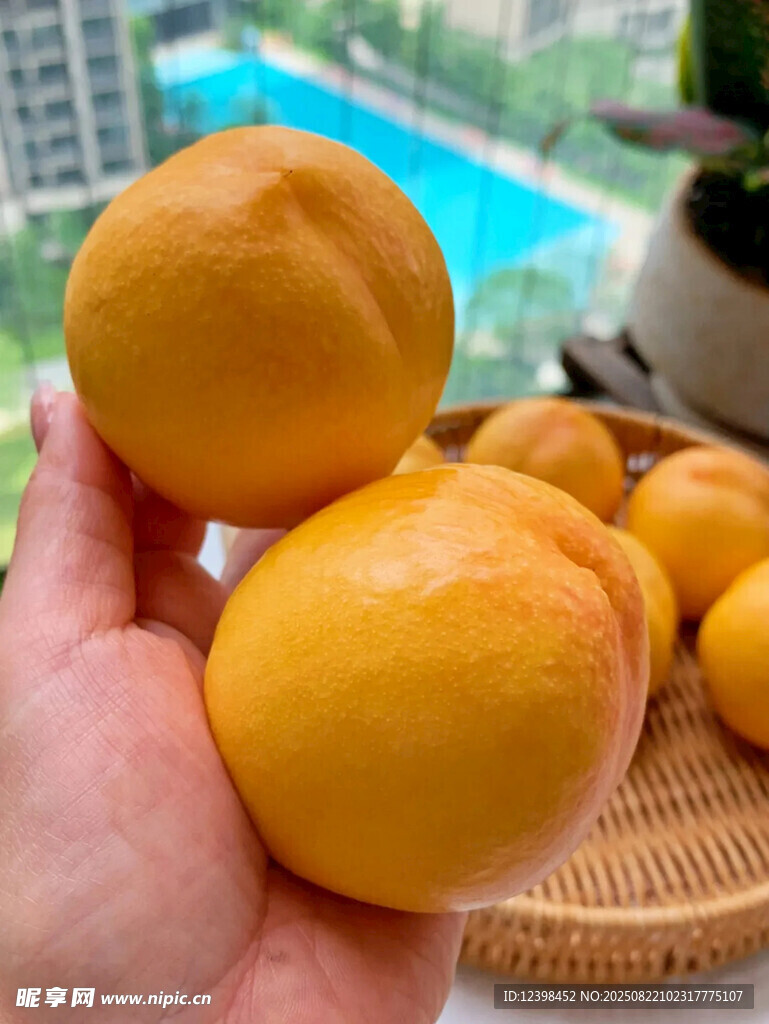 黄桃