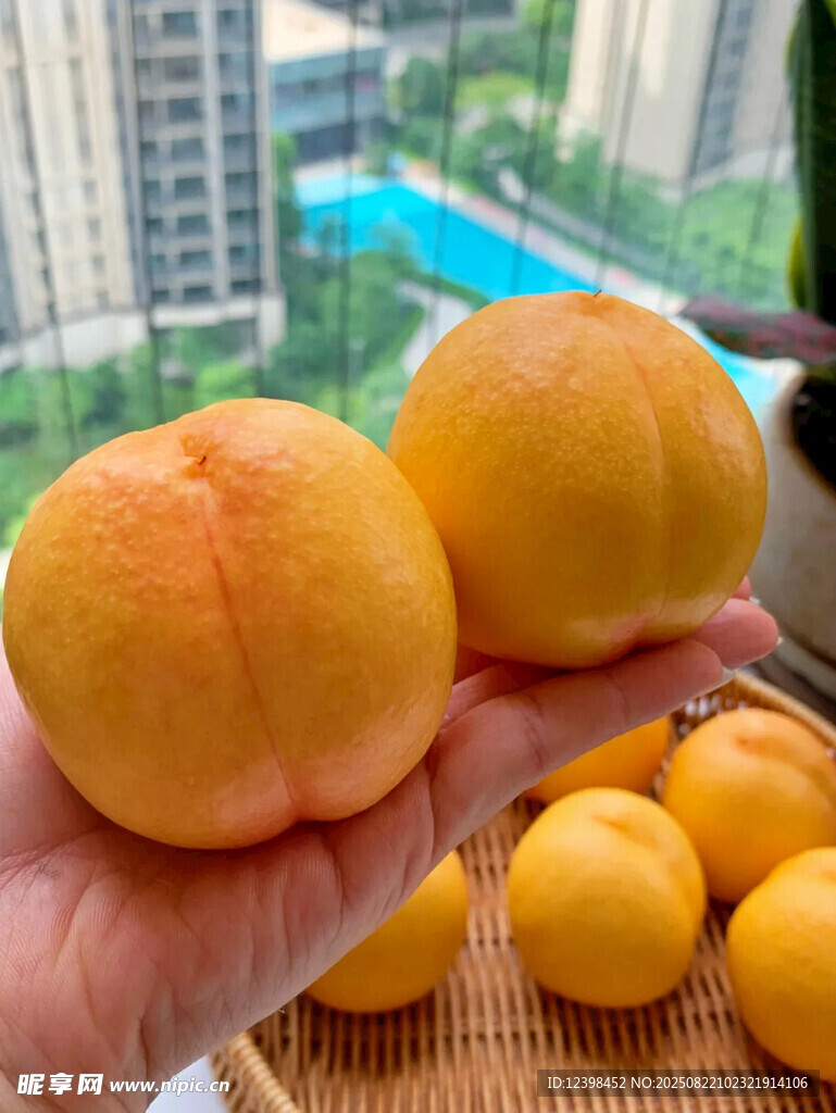 手捧鲜桃