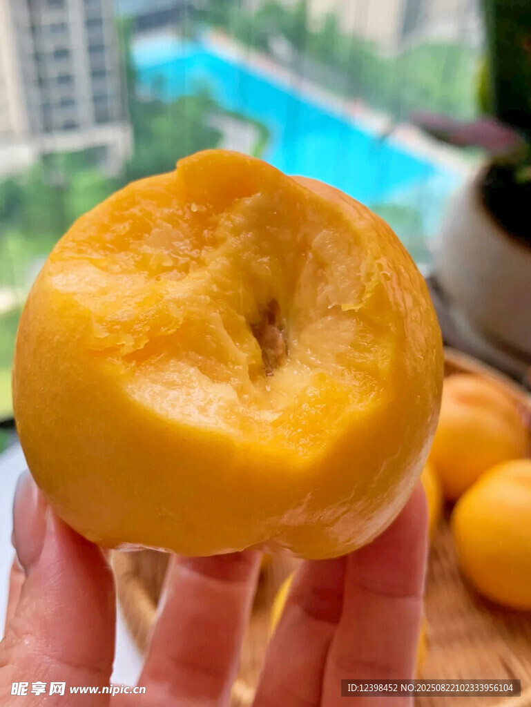 手捧黄润诱人新鲜桃子