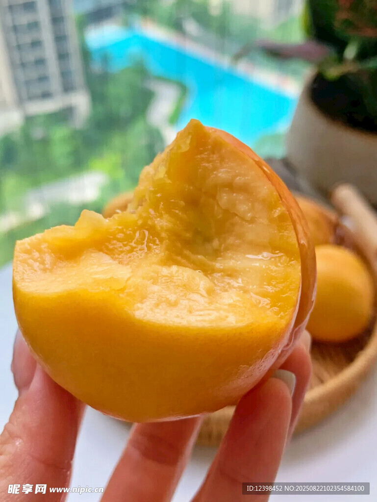 手捧多汁黄桃果肉特写