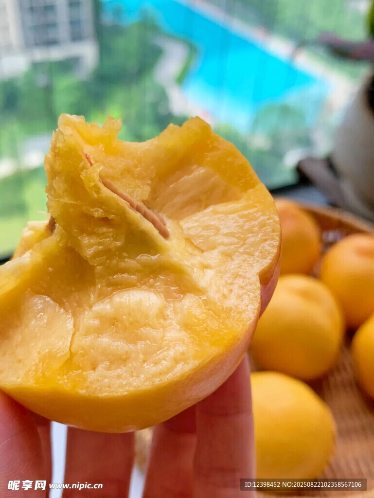 手捧黄桃果肉