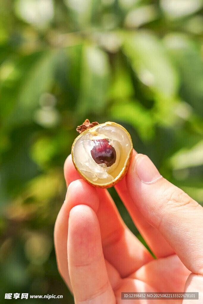 剥开的龙眼特写