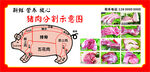 猪肉分割示意图展示