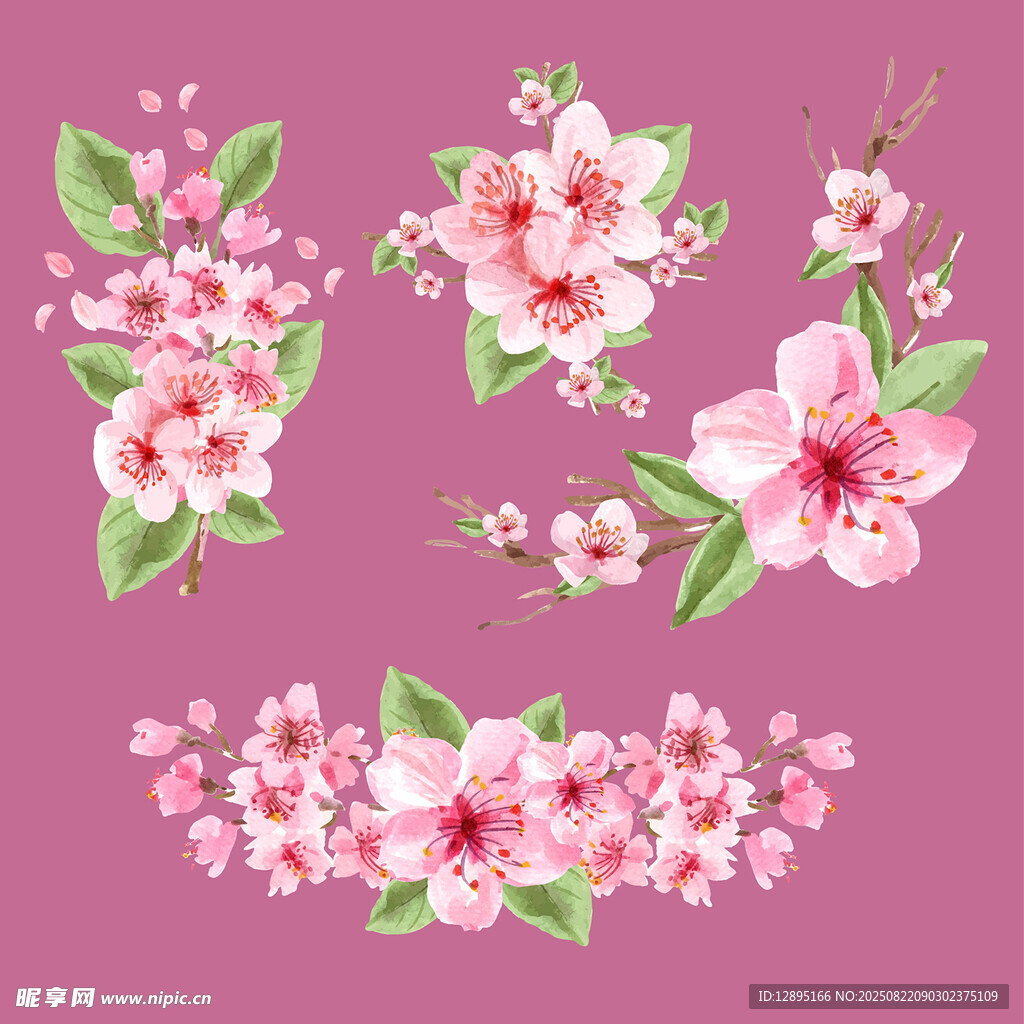 粉色花卉装饰图案集合