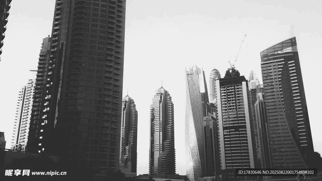 黑白都市摩天大楼景观