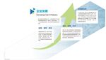 企业发展历程信息图表展示