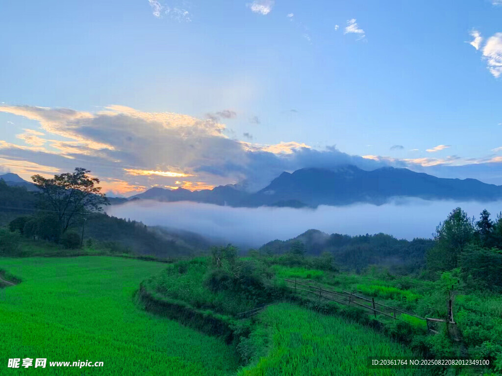 山间晨景
