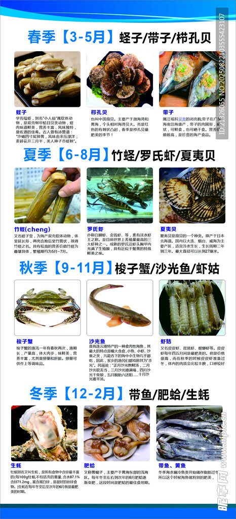 多样海鲜美食宣传页展示