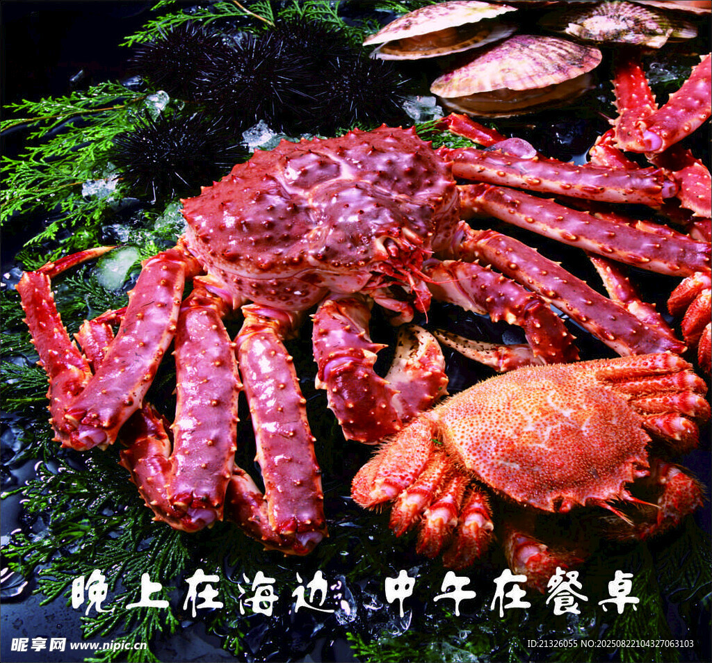 鲜活红螃蟹 尽显海洋美味