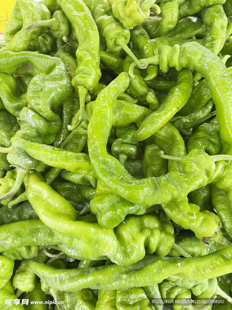 螺丝椒