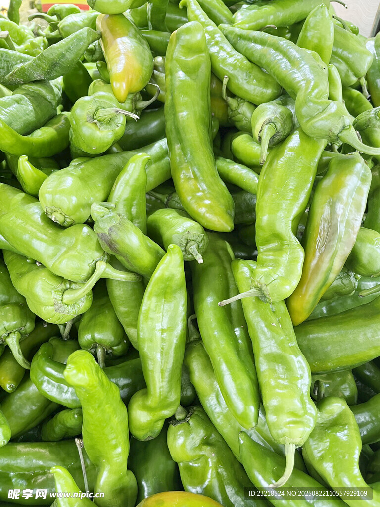 青辣椒