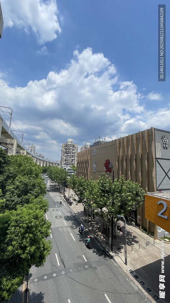 城市街道绿树蓝天白云景