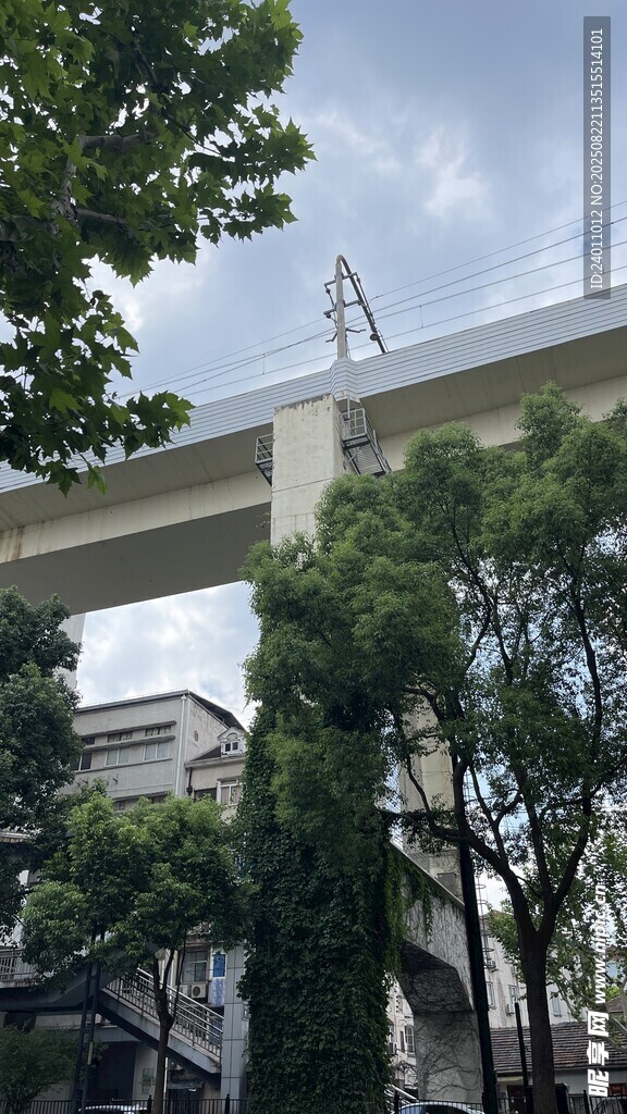 绿植环绕的高架桥