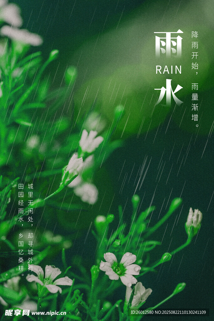 雨水时节的清新花草
