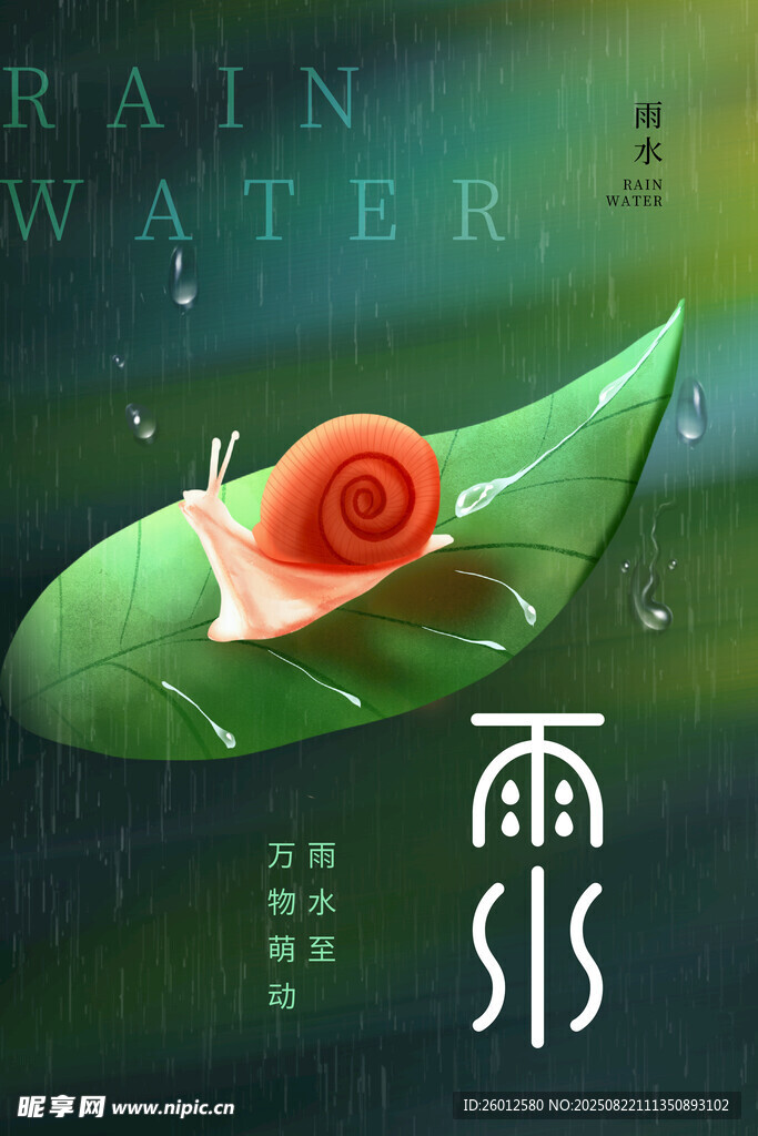 雨叶上的红蜗牛 雨水