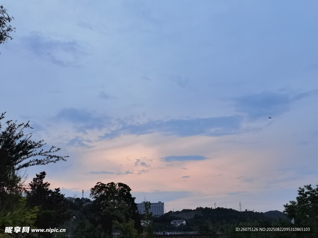 黄昏时分的天空与树木