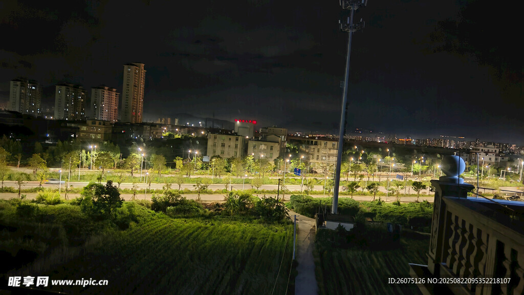城市夜景下的绿地景观
